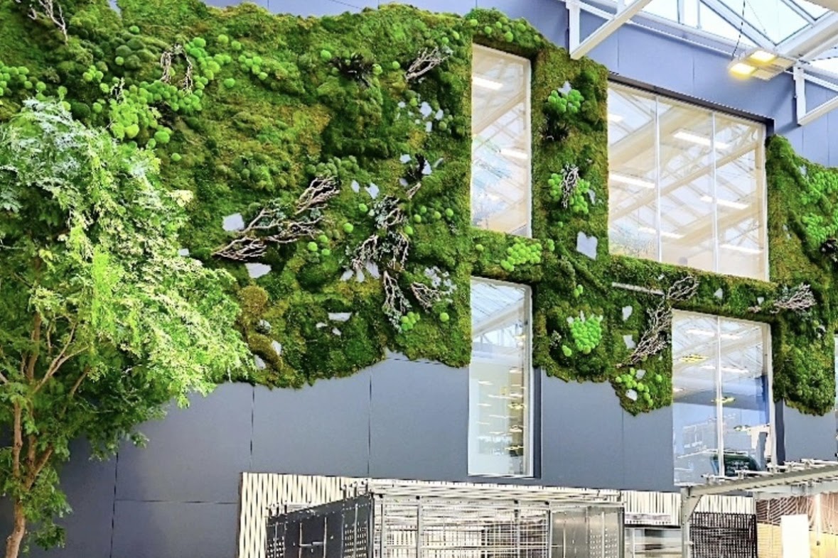 плоский мох